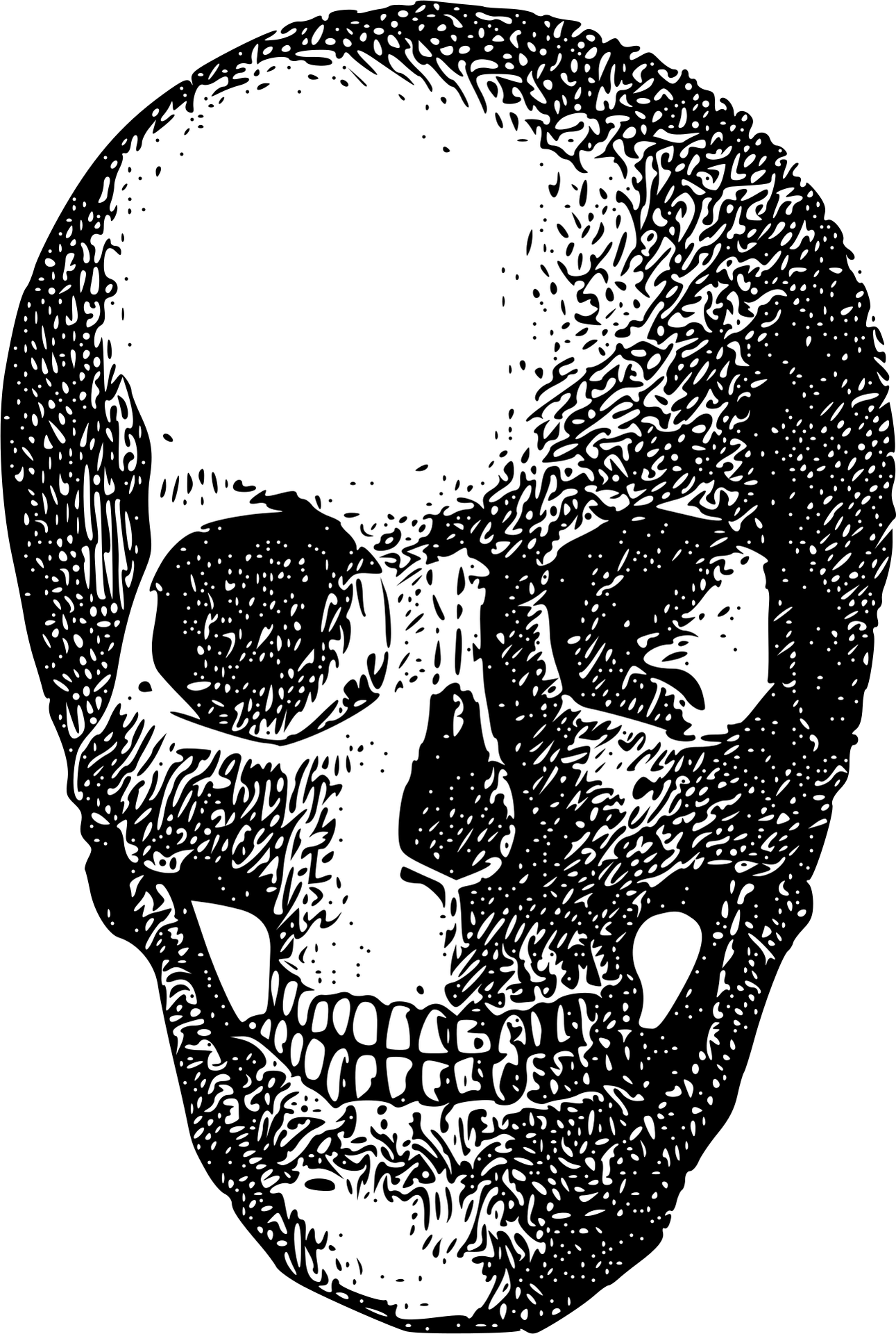 Skull Decoration